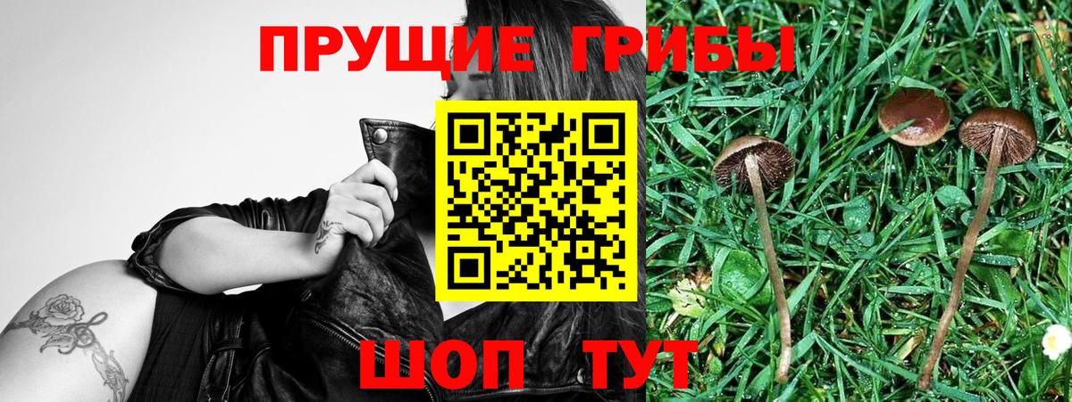 Псилоцибиновые грибы Magic Shrooms Моршанск