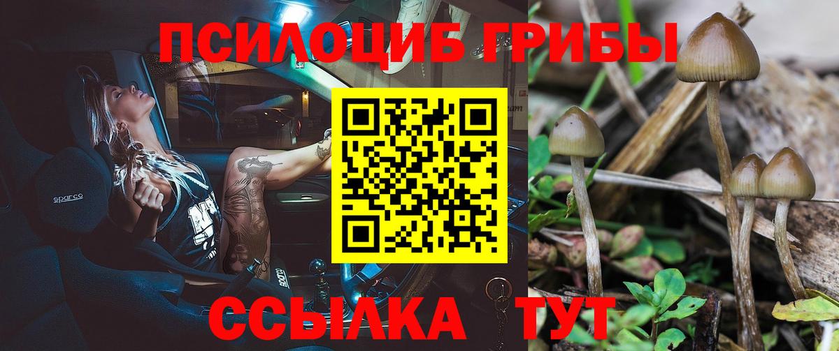 Псилоцибиновые грибы мицелий  Вход с VPN  Псилоцибиновые грибы MAGIC MUSHROOMS  Моршанск 